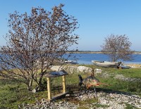 Milline on hea e-kirjadele vastamise taktika?