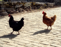 Kas Su juht hoolib Sinust kui inimesest?